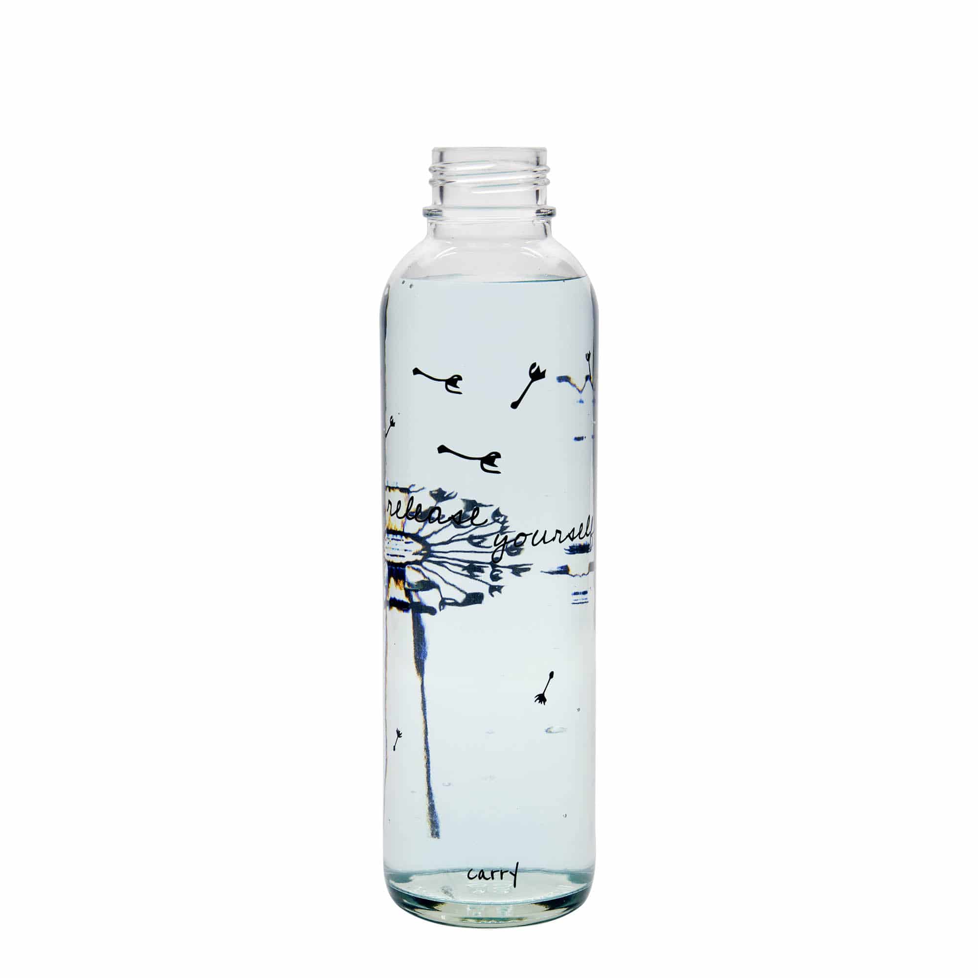 700 ml steklenica za pitje CARRY Bottle, motiv: Release Yourself, odprtina: navojni zamašek