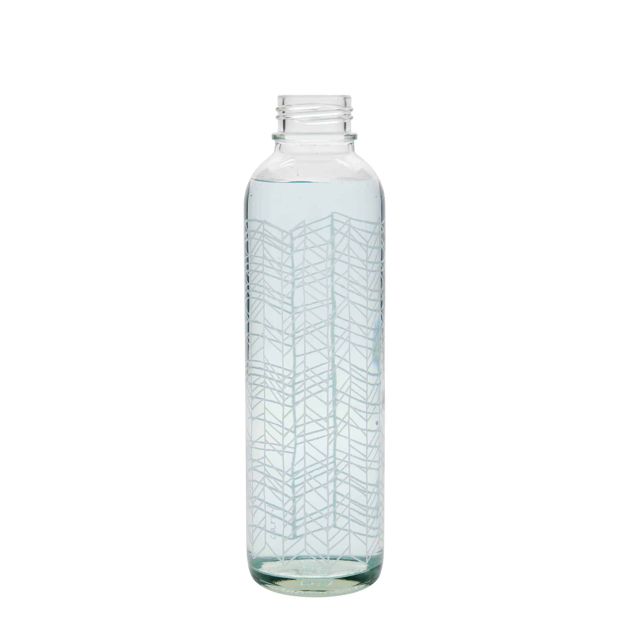 700 ml steklenica za pijačo CARRY Bottle, motiv: Structure of Life, ustje: navojni zamašek