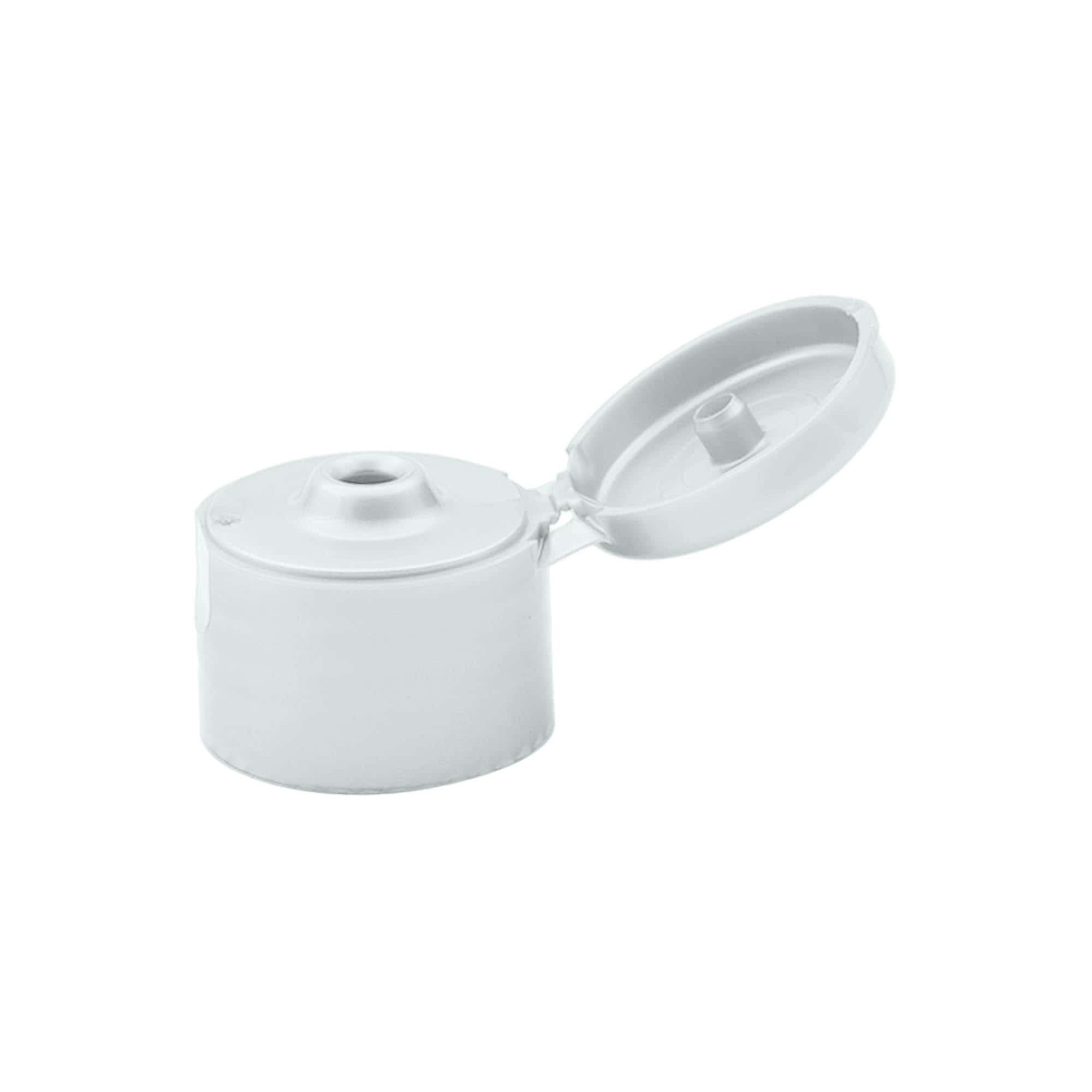 Zavrtni pokrov z zložljivo tečajo, PP-plastika, srebrn, za odprtino: 24/410 Zavrtni pokrov z zložljivo tečajo, PP-plastika, srebrn, za odprtino: 24/410